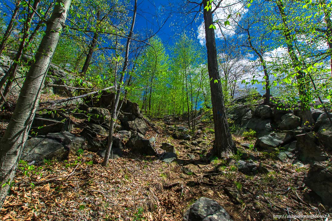 trail footpath